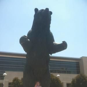 Meet your Posher, Tony